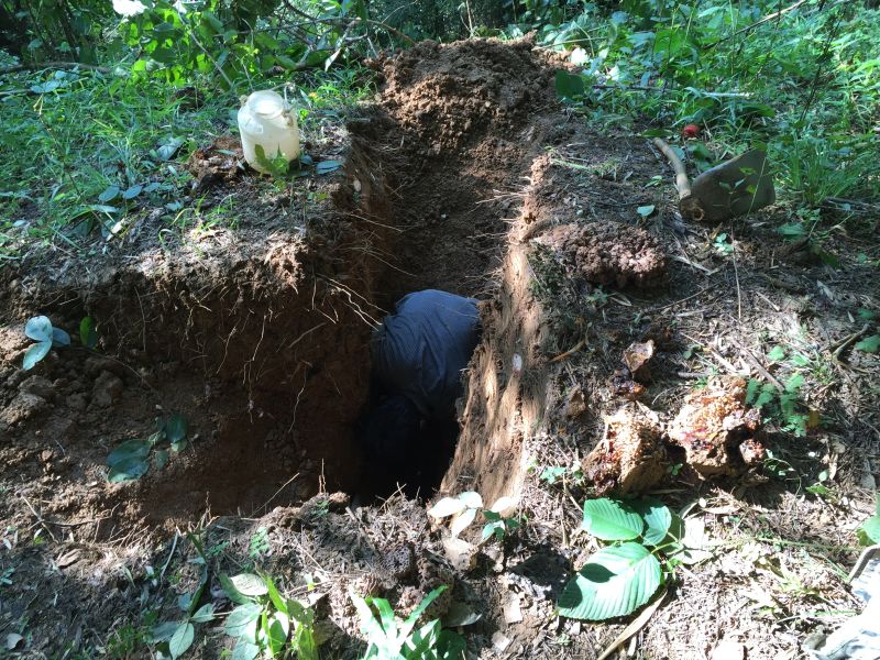 地土特产-云南西双版纳原始森林野生酸蜂蜜,9