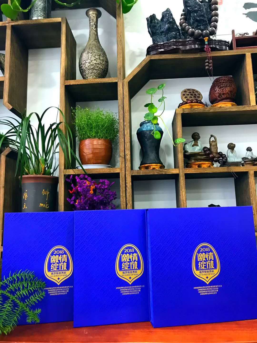 2018俄罗斯世界杯纪念册 激*情绽放 0欧元 俄罗