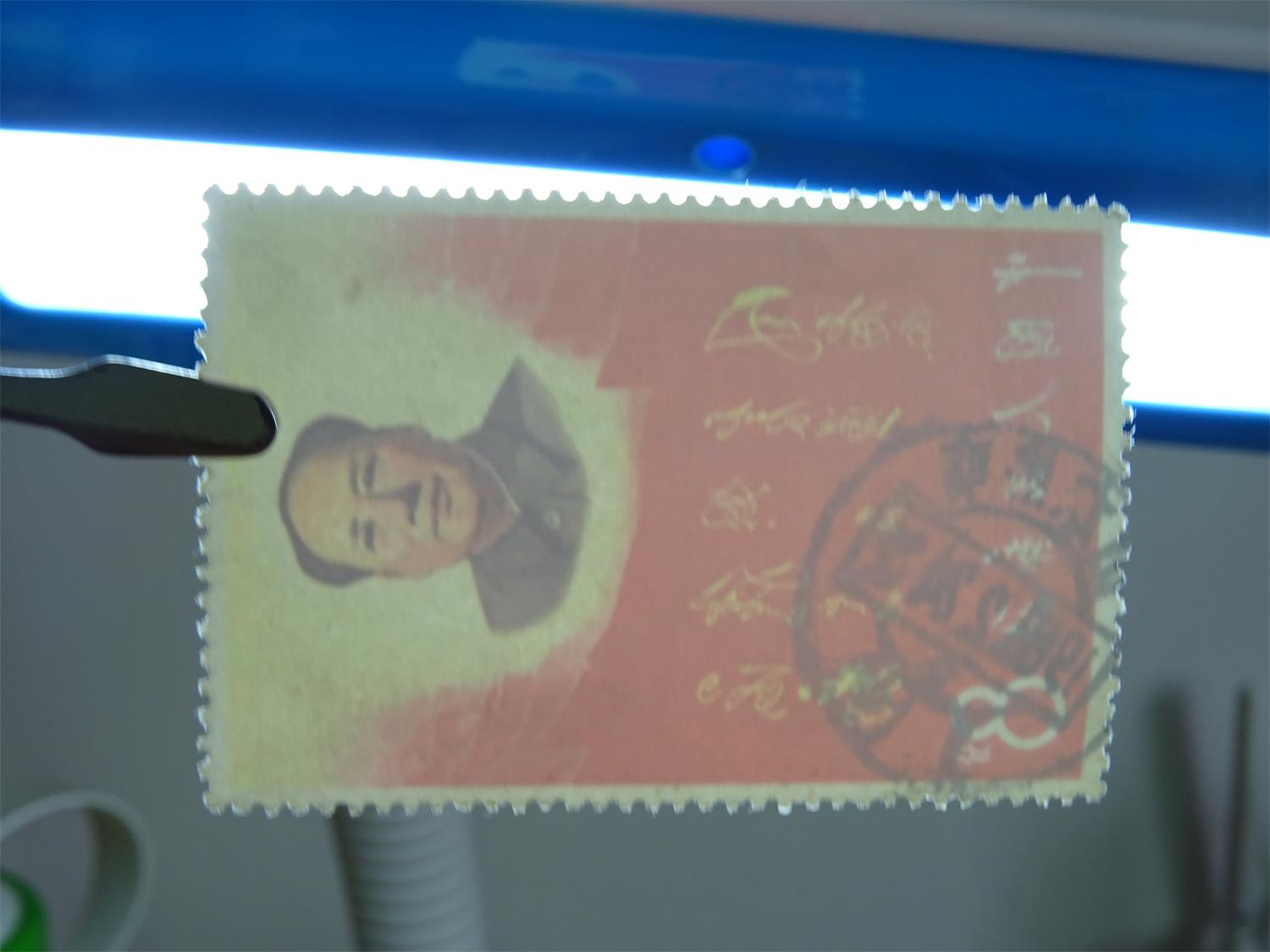 dvubb 图片点击可在新窗口打开查看