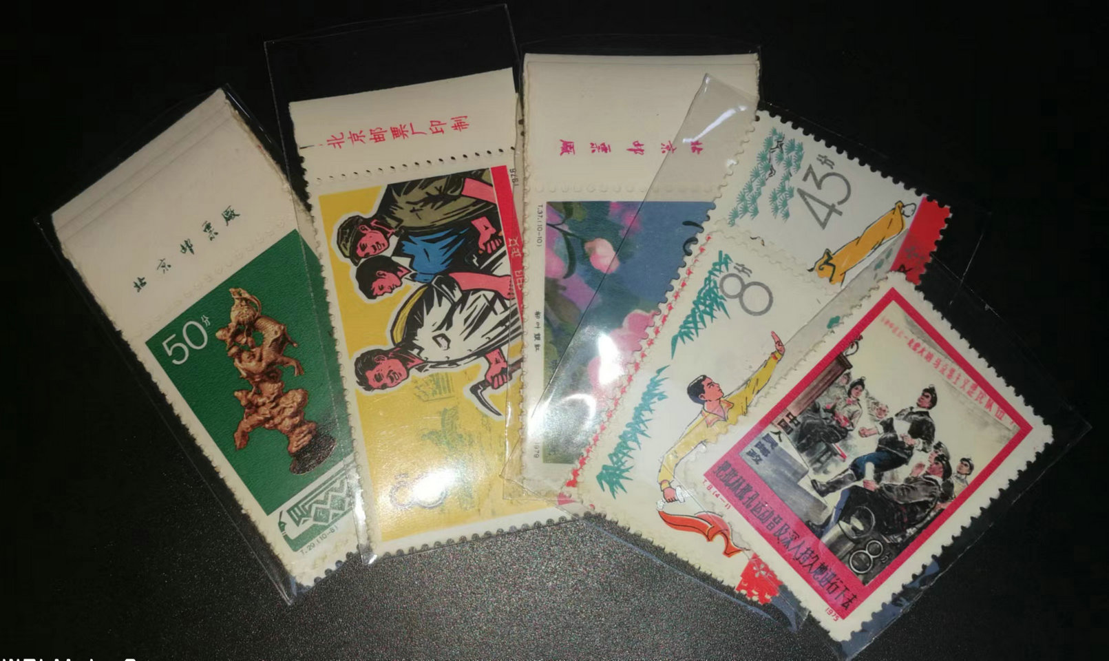 dvubb 图片点击可在新窗口打开查看