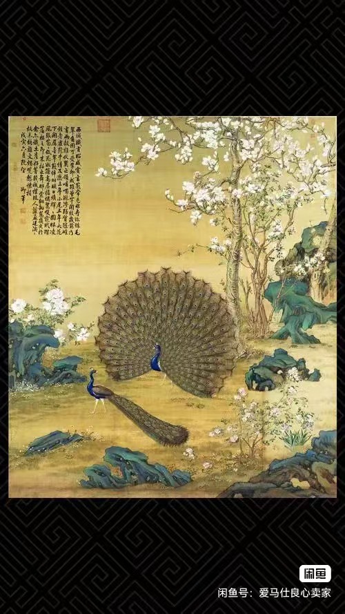 dvubb 图片点击可在新窗口打开查看