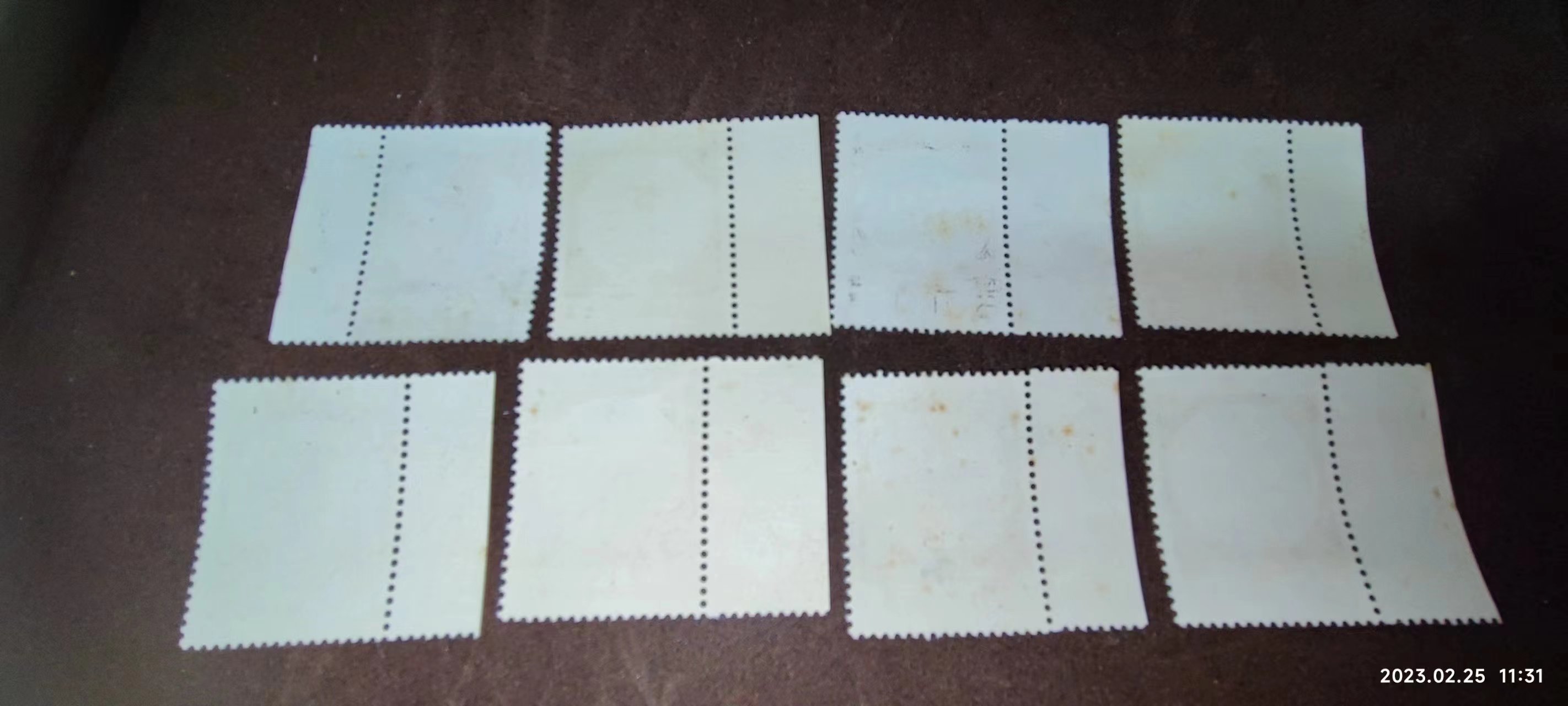 dvubb 图片点击可在新窗口打开查看