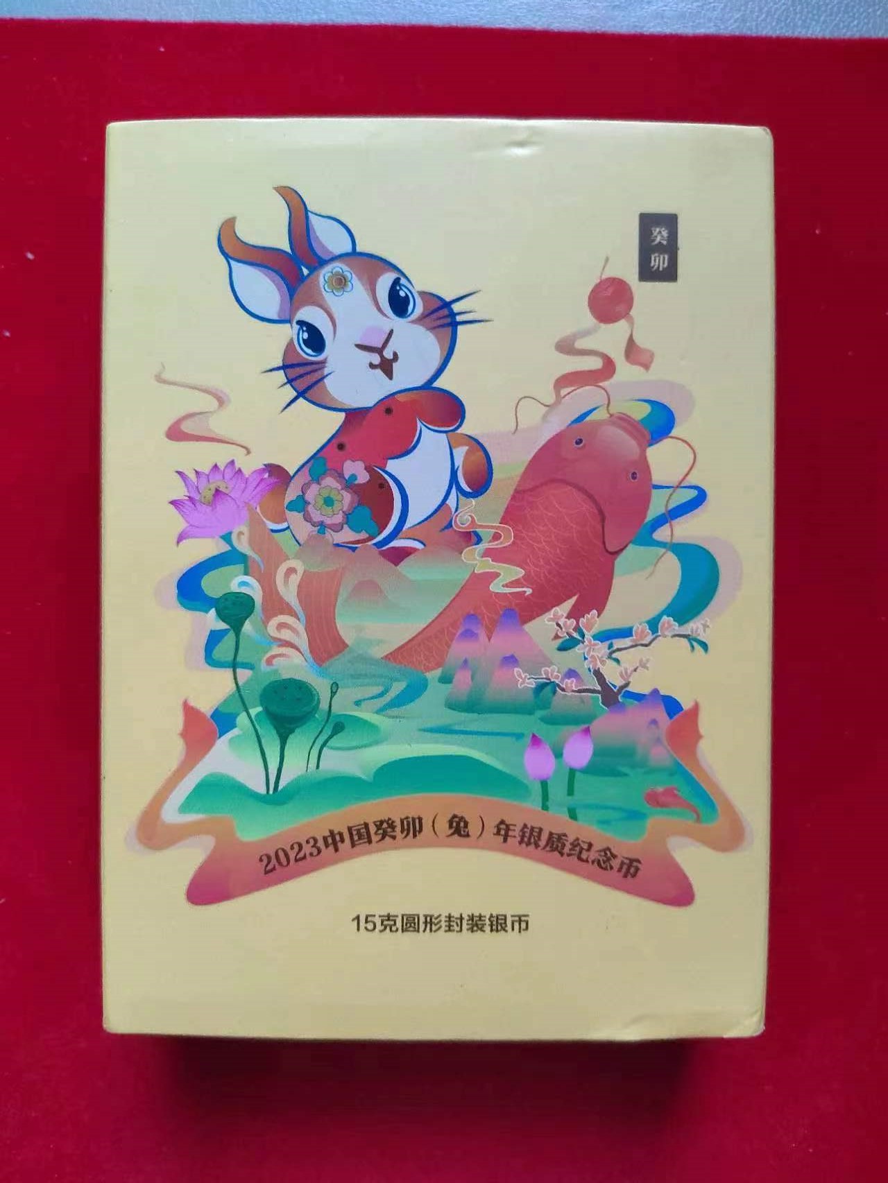 dvubb 图片点击可在新窗口打开查看