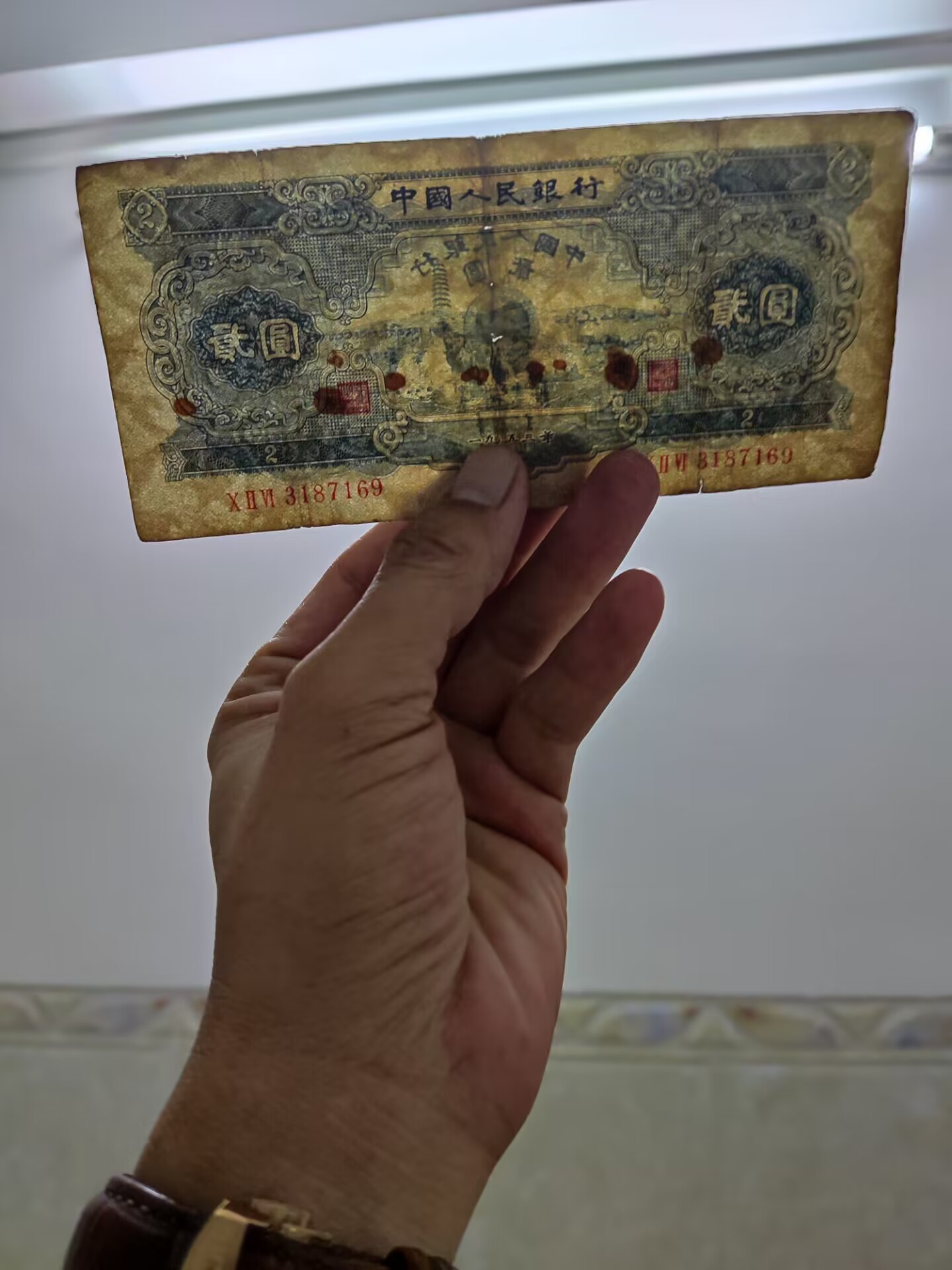 dvubb 图片点击可在新窗口打开查看