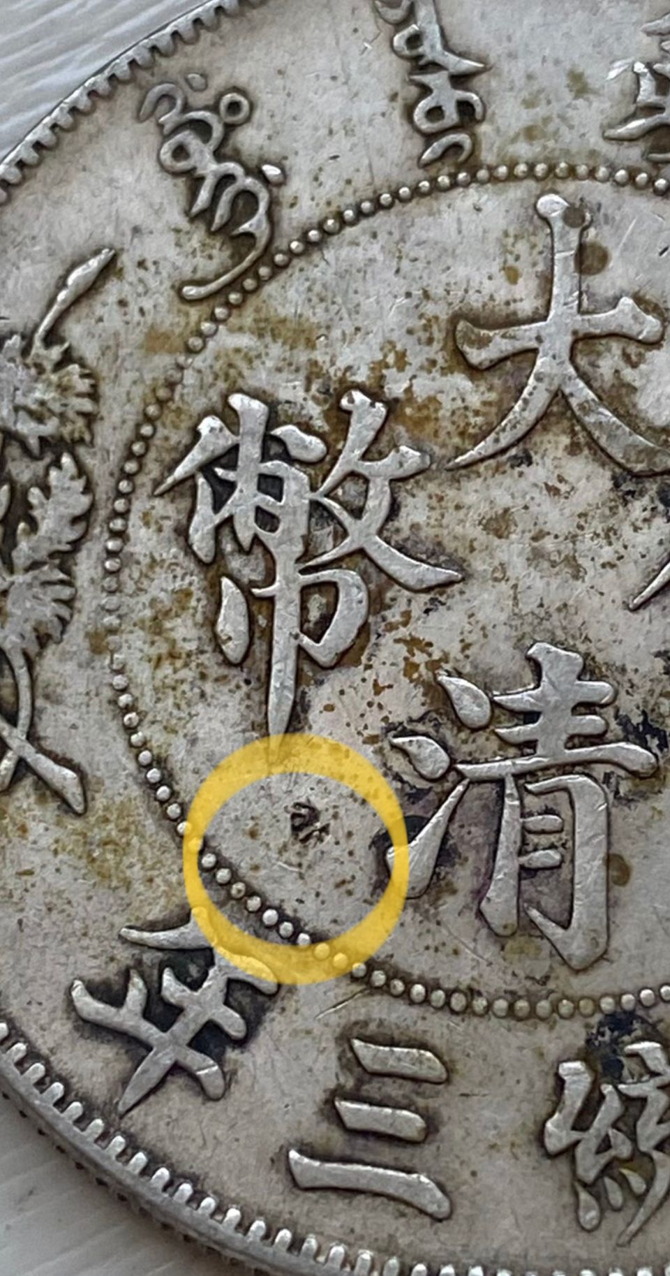 dvubb 图片点击可在新窗口打开查看