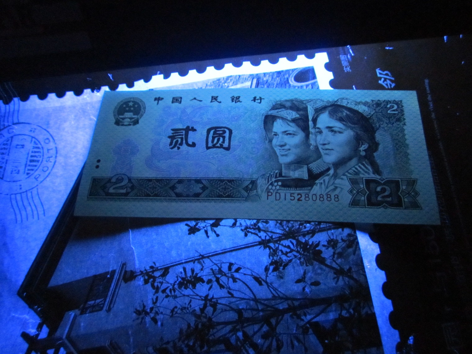 dvubb 图片点击可在新窗口打开查看