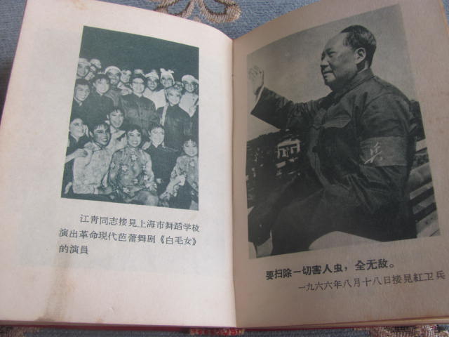 dvubb 图片点击可在新窗口打开查看