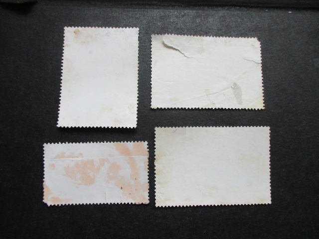 dvubb 图片点击可在新窗口打开查看