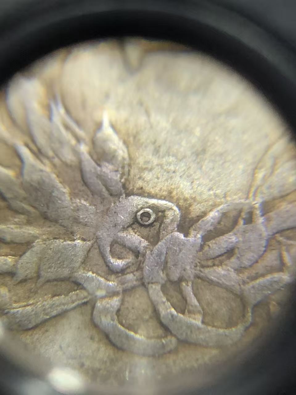 dvubb 图片点击可在新窗口打开查看