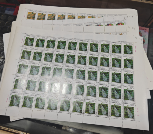 dvubb 图片点击可在新窗口打开查看