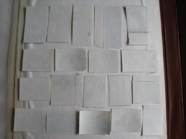 dvubb 图片点击可在新窗口打开查看