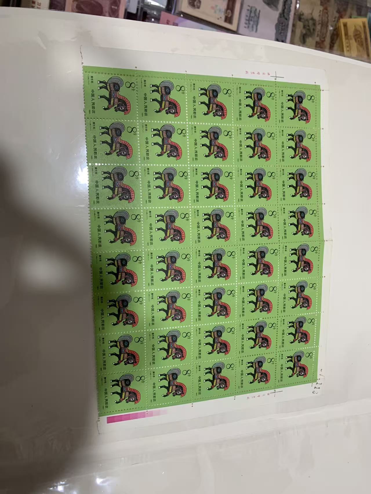 dvubb 图片点击可在新窗口打开查看