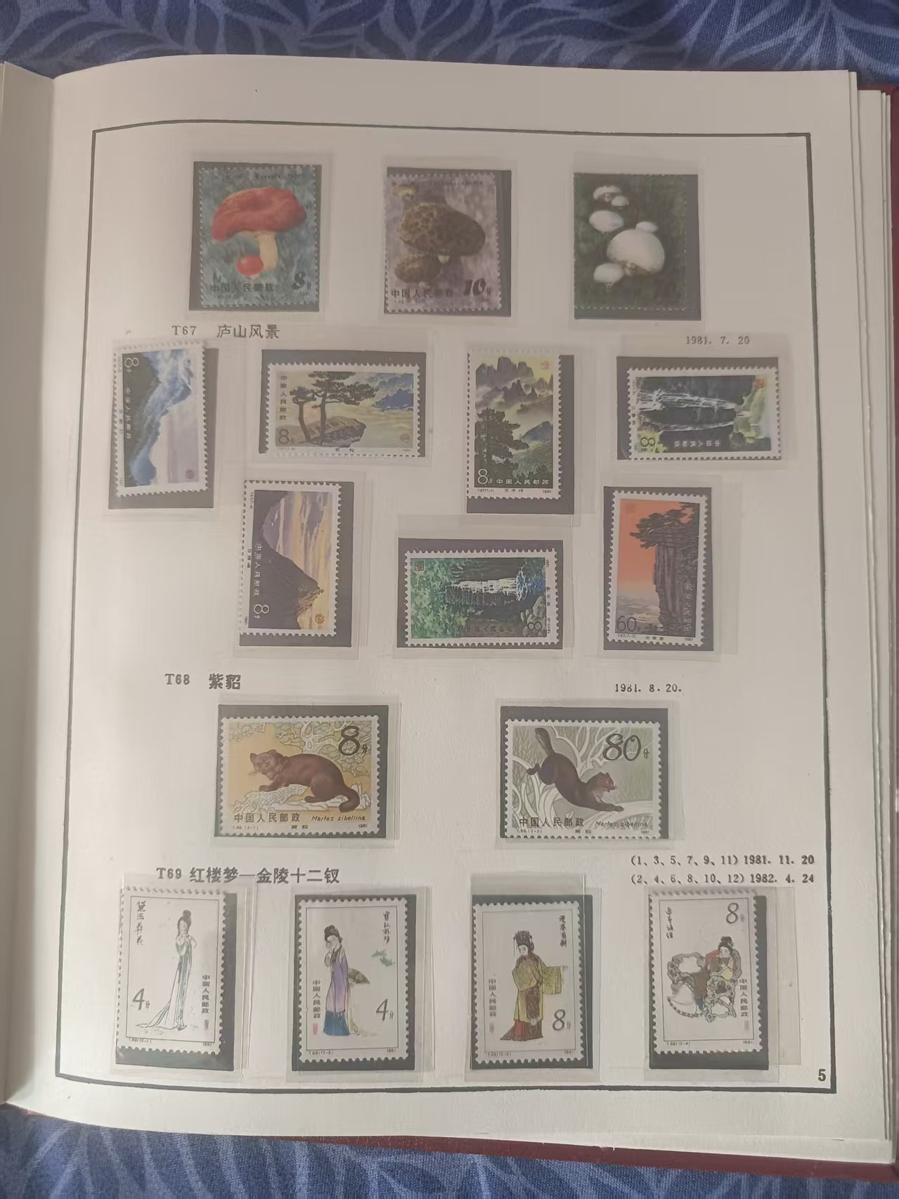 dvubb 图片点击可在新窗口打开查看