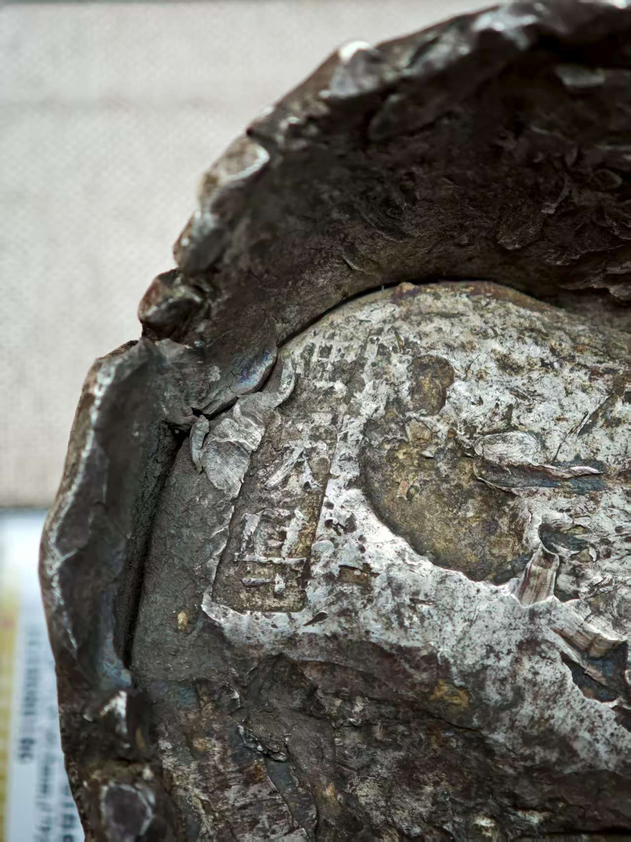 dvubb 图片点击可在新窗口打开查看