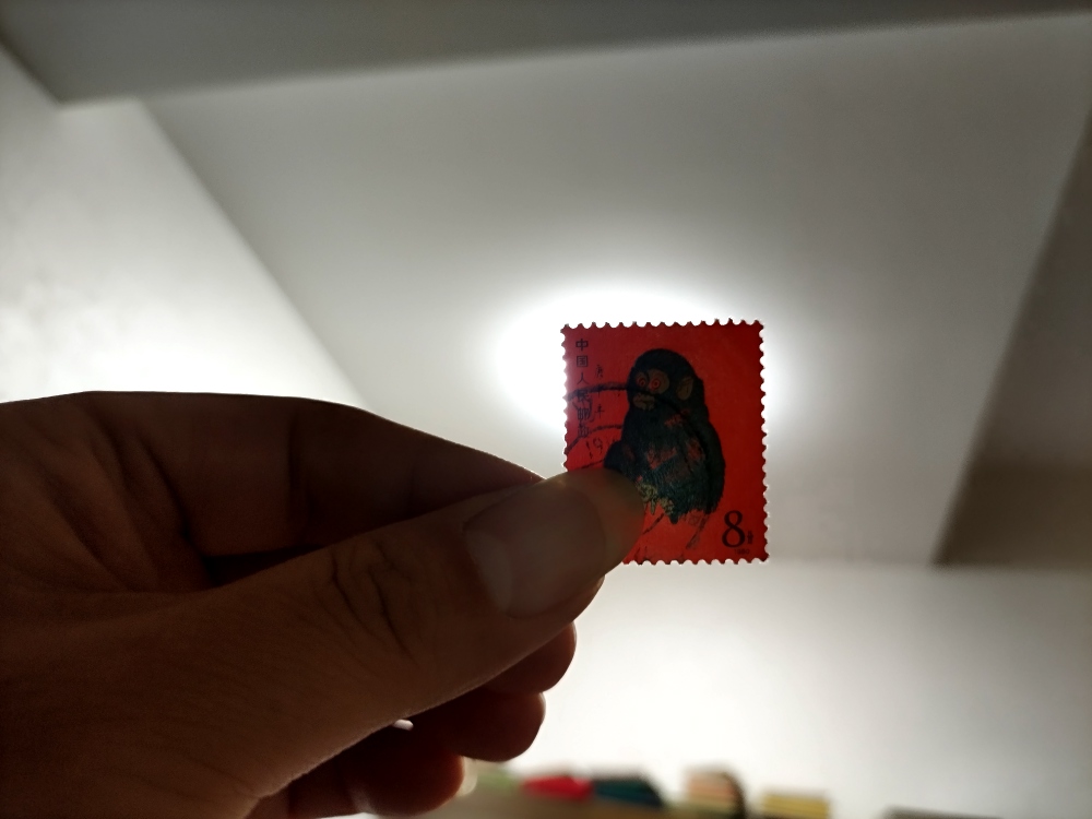 dvubb 图片点击可在新窗口打开查看