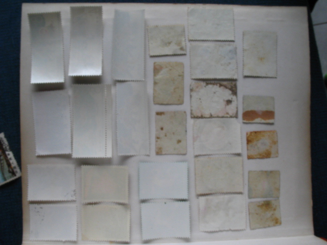 dvubb 图片点击可在新窗口打开查看