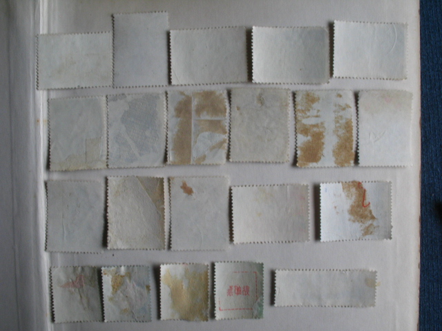 dvubb 图片点击可在新窗口打开查看