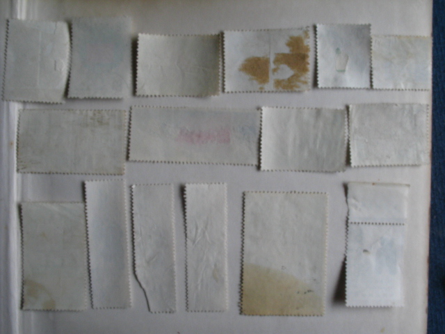 dvubb 图片点击可在新窗口打开查看