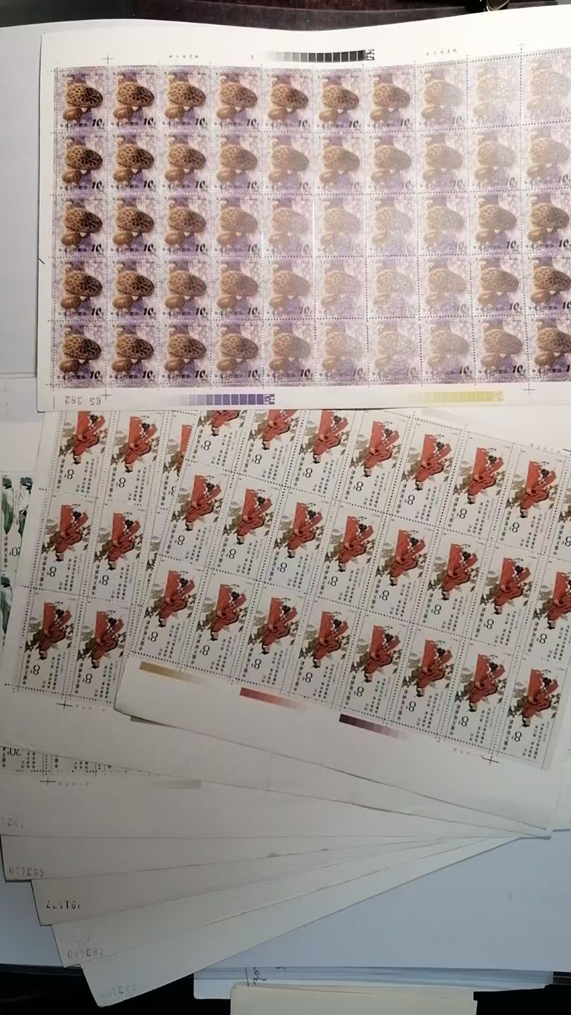 dvubb 图片点击可在新窗口打开查看