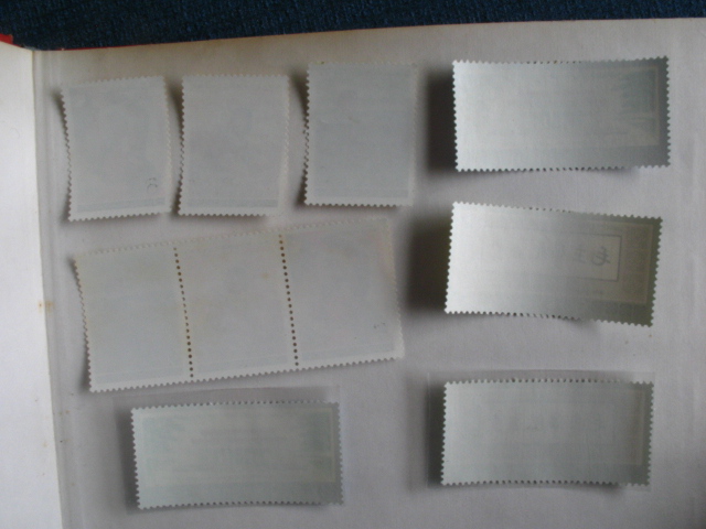 dvubb 图片点击可在新窗口打开查看