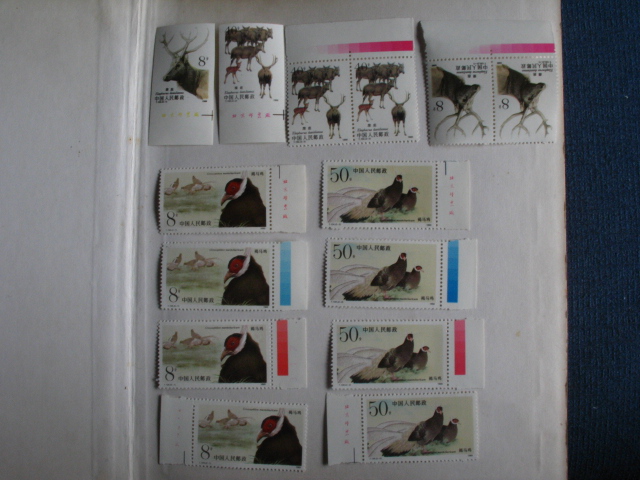 dvubb 图片点击可在新窗口打开查看