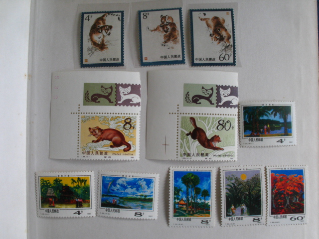 dvubb 图片点击可在新窗口打开查看