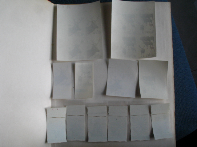 dvubb 图片点击可在新窗口打开查看