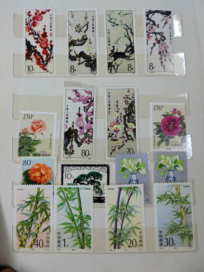 dvubb 图片点击可在新窗口打开查看