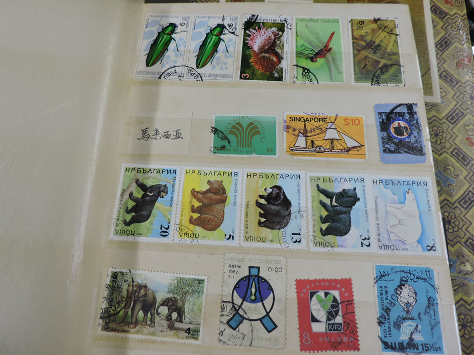 dvubb 图片点击可在新窗口打开查看