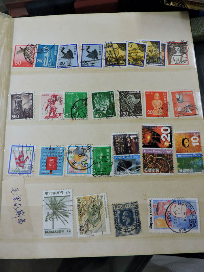 dvubb 图片点击可在新窗口打开查看