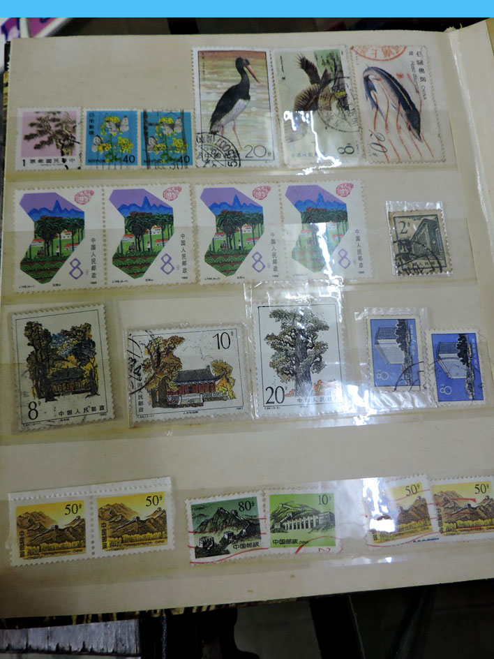 dvubb 图片点击可在新窗口打开查看