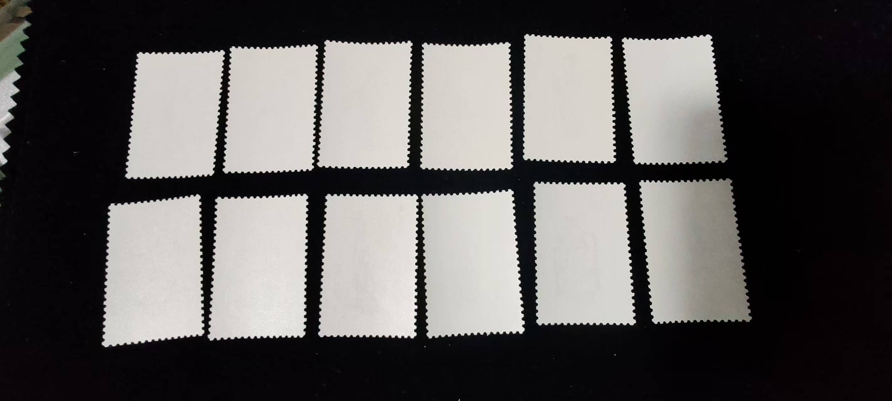 dvubb 图片点击可在新窗口打开查看