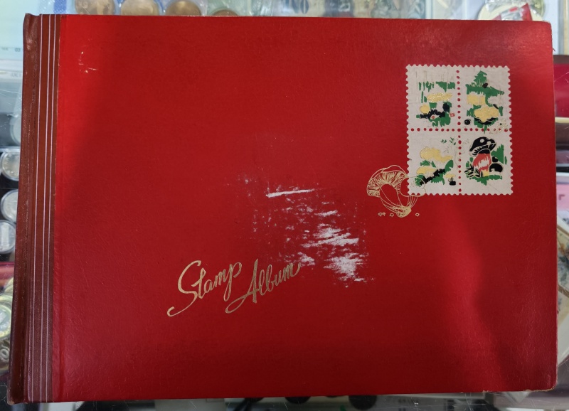 dvubb 图片点击可在新窗口打开查看