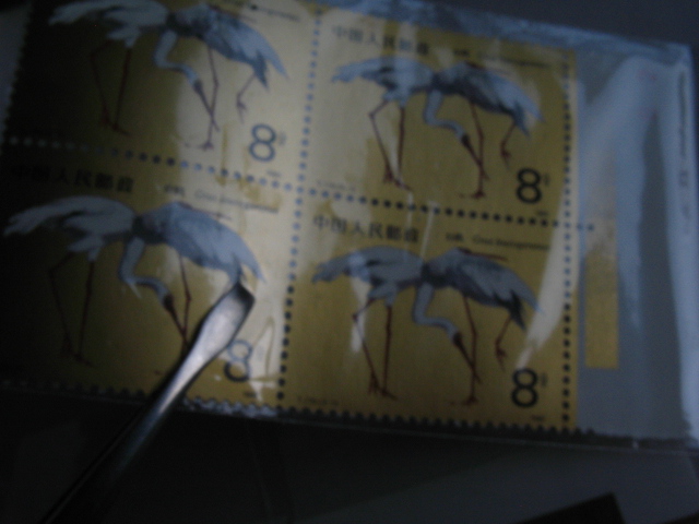 dvubb 图片点击可在新窗口打开查看