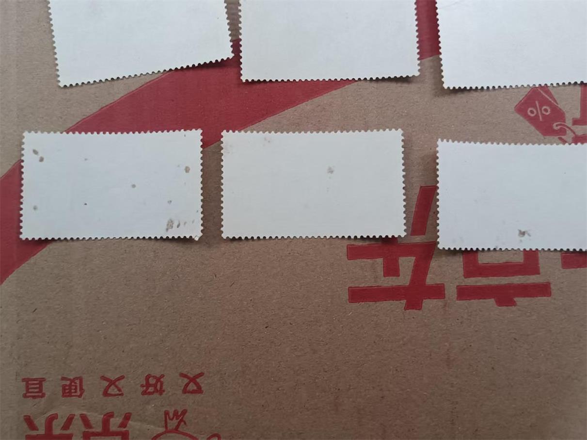 dvubb 图片点击可在新窗口打开查看