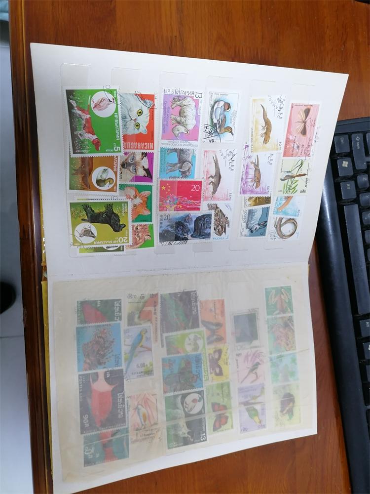 dvubb 图片点击可在新窗口打开查看