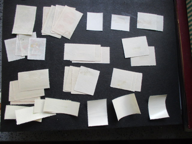 dvubb 图片点击可在新窗口打开查看