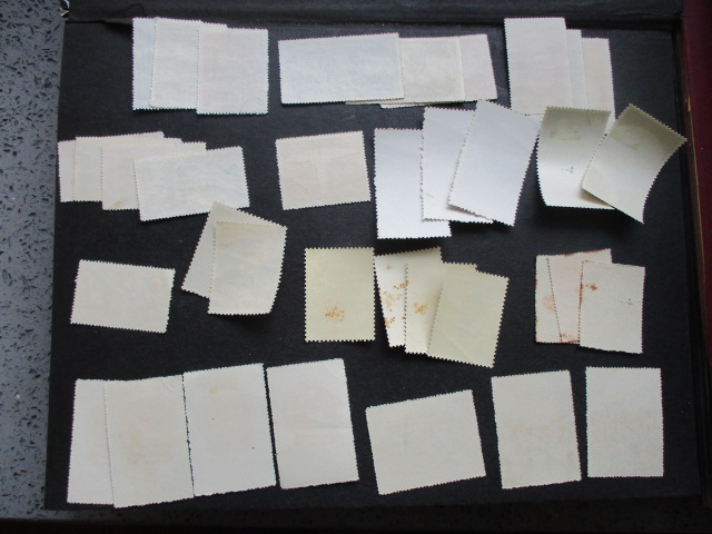 dvubb 图片点击可在新窗口打开查看