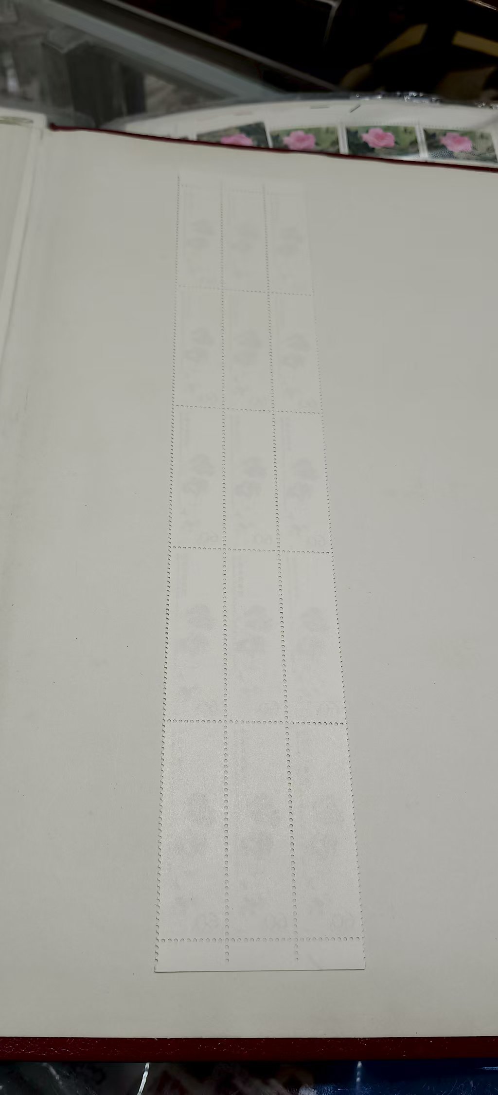 dvubb 图片点击可在新窗口打开查看