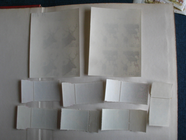 dvubb 图片点击可在新窗口打开查看