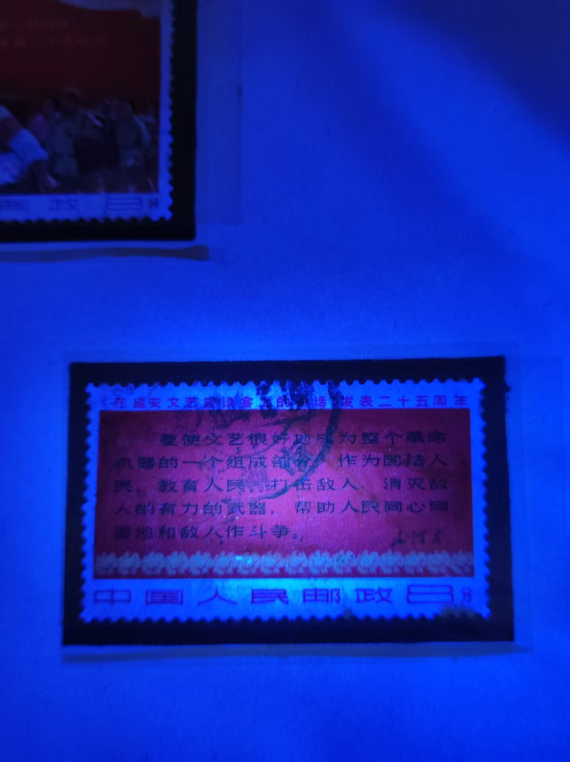 dvubb 图片点击可在新窗口打开查看