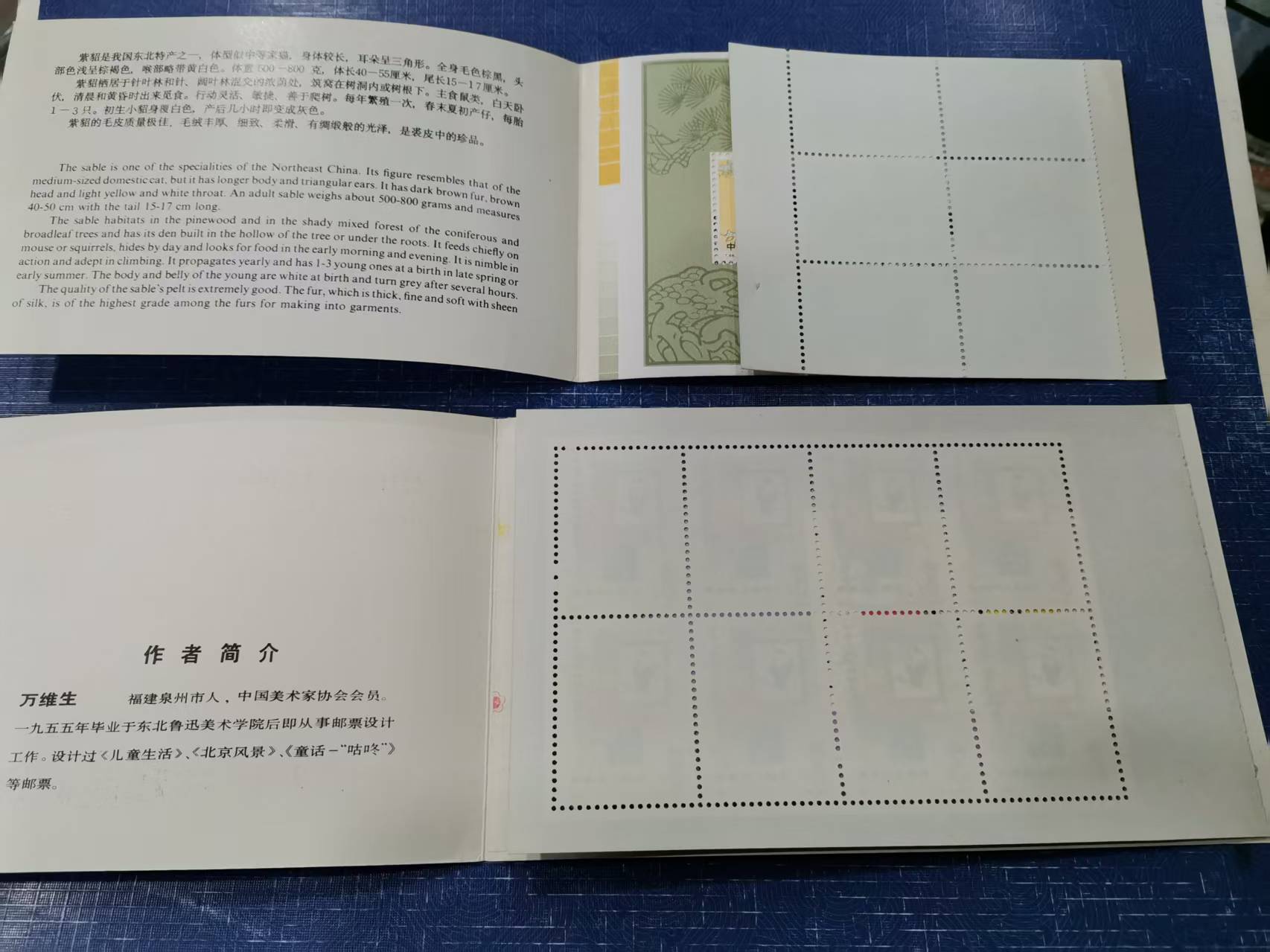 dvubb 图片点击可在新窗口打开查看