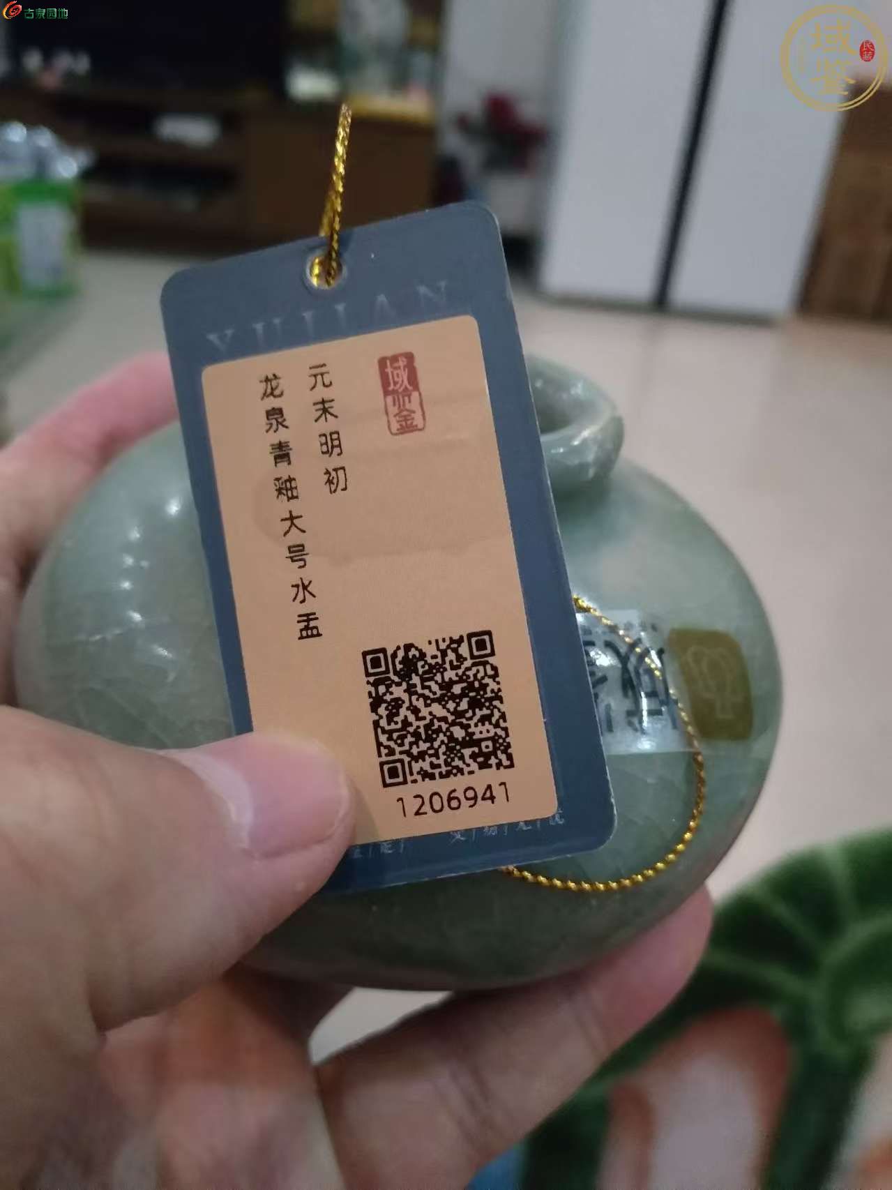dvubb 图片点击可在新窗口打开查看