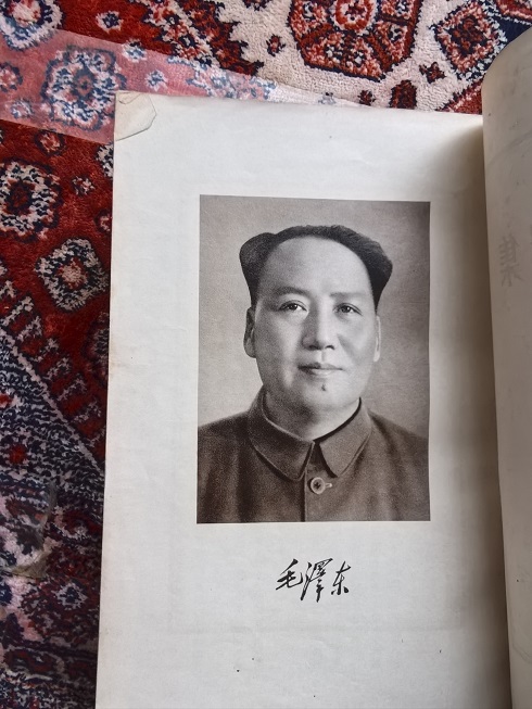 dvubb 图片点击可在新窗口打开查看