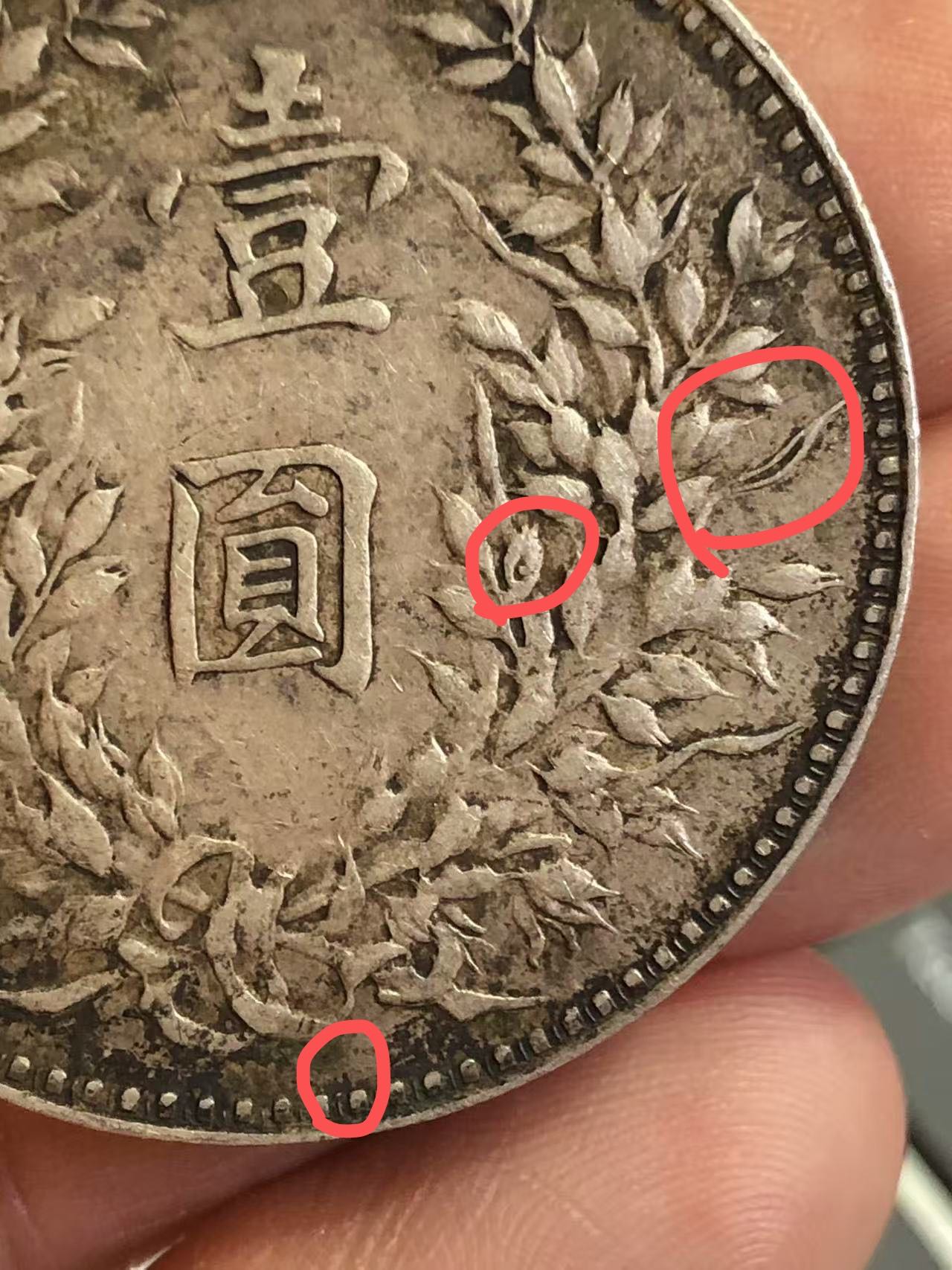 dvubb 图片点击可在新窗口打开查看