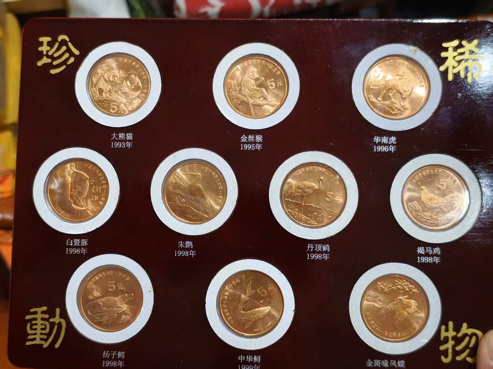 dvubb 图片点击可在新窗口打开查看