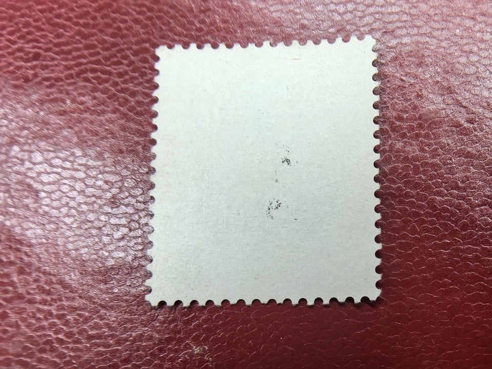 ͼƬ´ڴ򿪲鿴