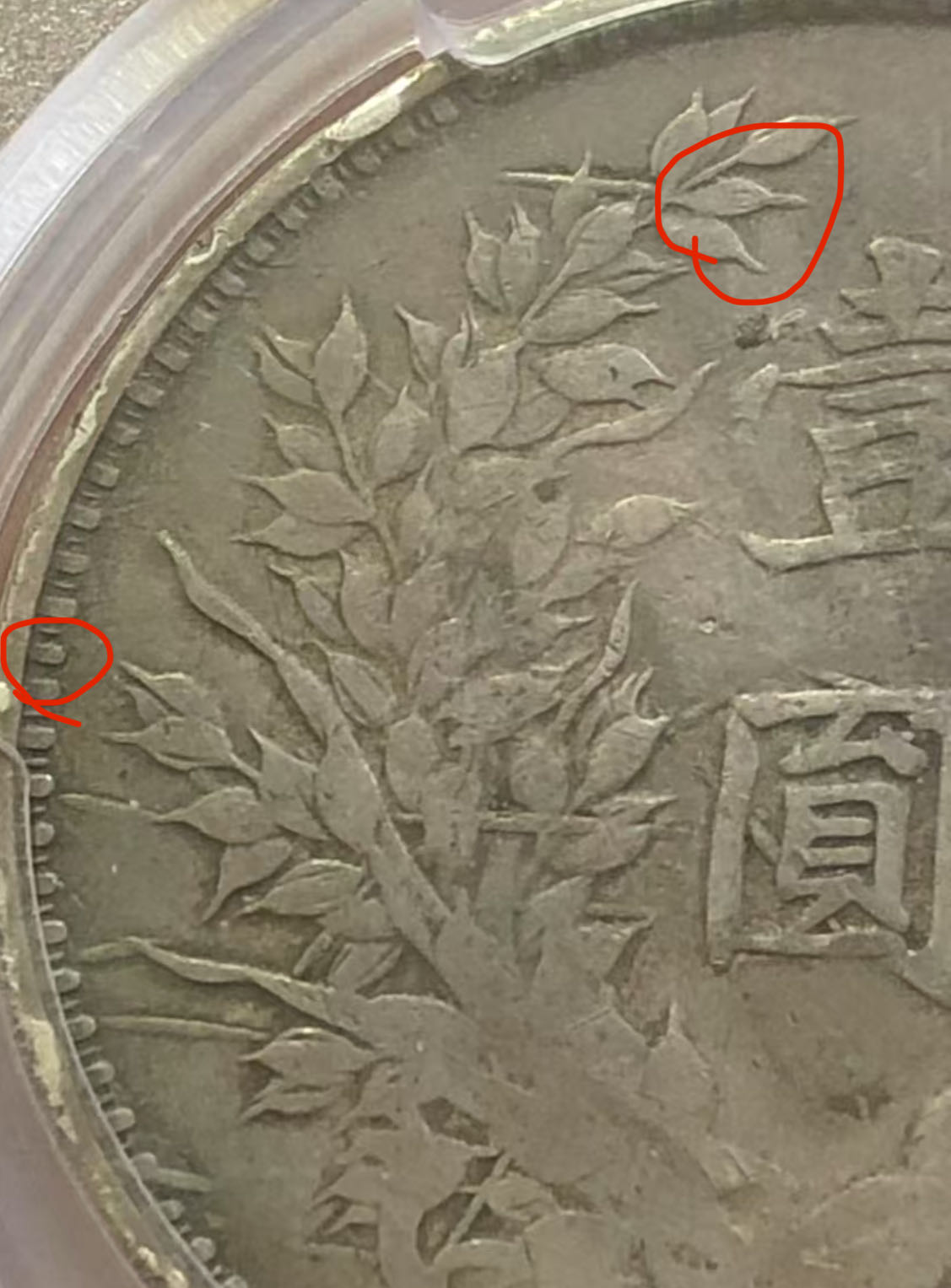 dvubb 图片点击可在新窗口打开查看