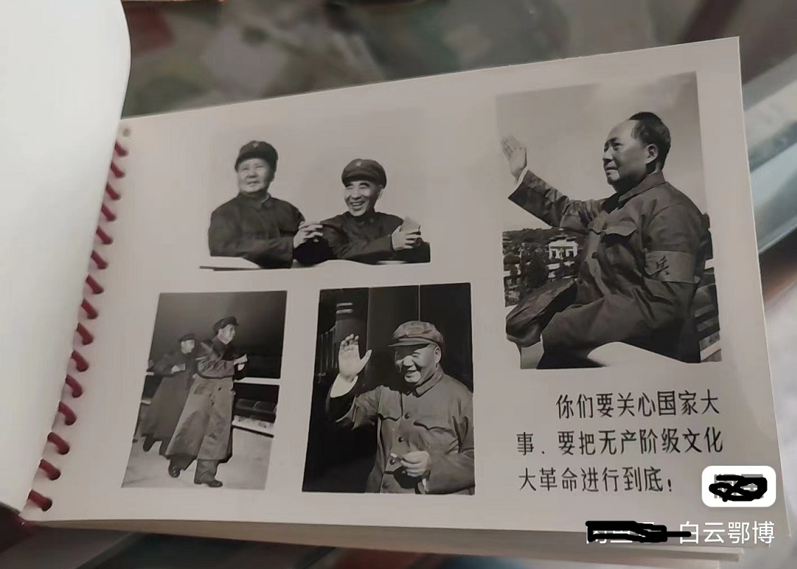dvubb 图片点击可在新窗口打开查看
