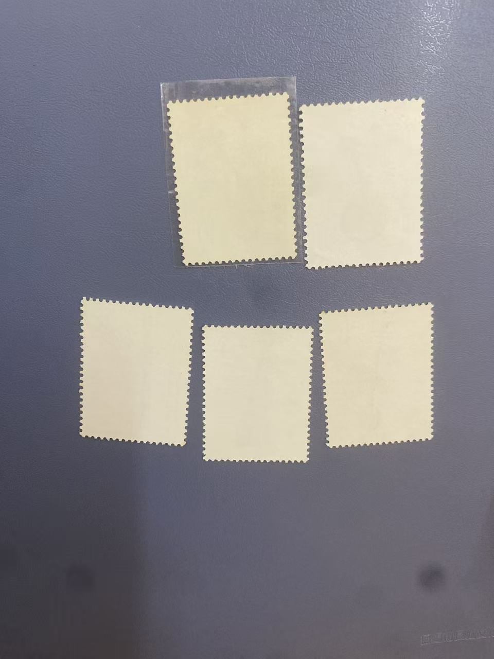 dvubb 图片点击可在新窗口打开查看